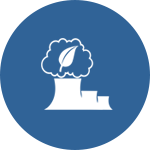 çamur kurutma bertaraf